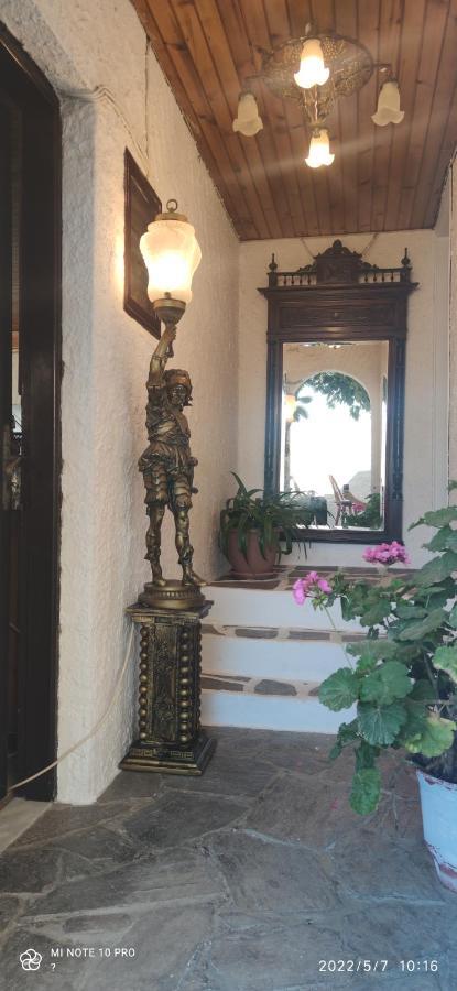 Odysseas Hotel Samos Екстер'єр фото